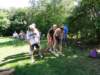 2011HWK 277_small.jpg
